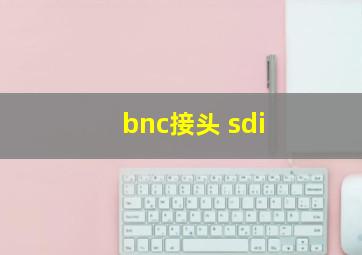 bnc接头 sdi